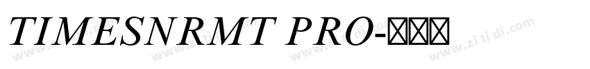 TIMESNRMT PRO字体转换
